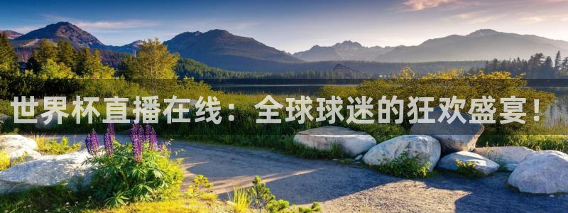 2026世界杯亚洲预选赛赛程：世界杯直播在线：全球球迷的狂欢盛宴！