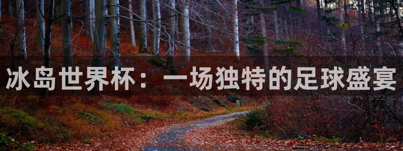 世界杯：冰岛世界杯：一场独特的足球盛宴