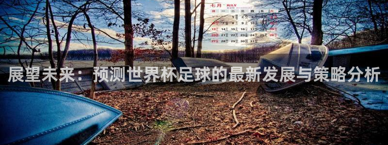 世界杯预选赛2026：展望未来：预测世界杯足球的最新发展与策略分析