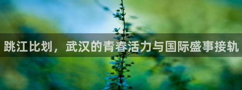 世界杯官网：跳江比划，武汉的青春活力与国际盛事接轨