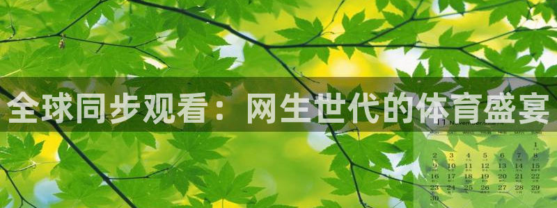 2026世界杯亚洲区预选赛：全球同步观看：网生世代的体育盛宴