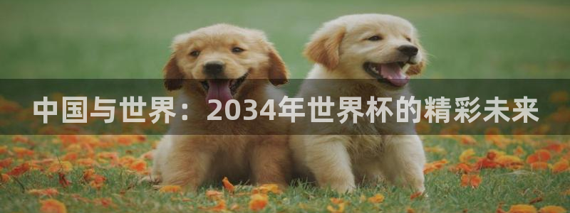 世界杯预选赛排名：中国与世界：2034年世界杯的精彩未来