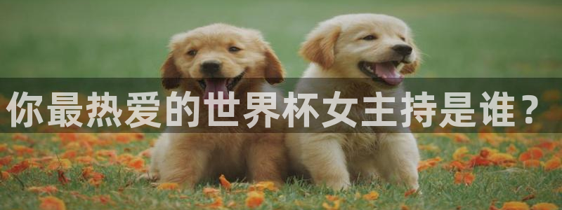 英足总杯直播：你最热爱的世界杯女主持是谁？