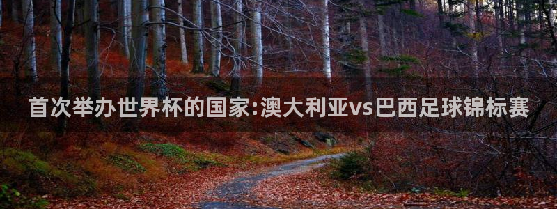 26世界杯：首次举办世界杯的国家:澳大利亚vs巴西足球锦标赛
