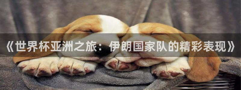 2026世预赛赛程：《世界杯亚洲之旅：伊朗国家队的精彩表现》