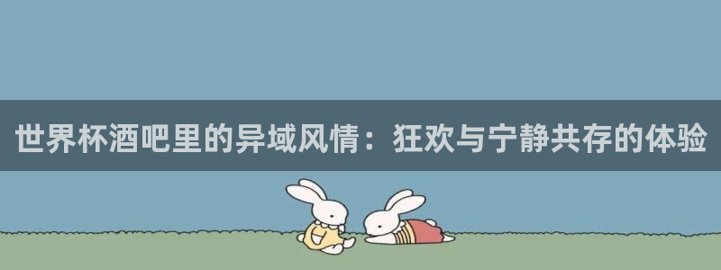 世界杯女足直播：世界杯酒吧里的异域风情：狂欢与宁静共存的体验