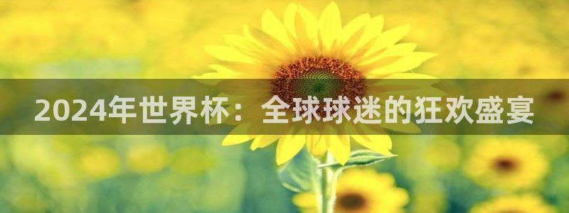 世界杯欧洲区预选赛赛程：2024年世界杯：全球球迷的狂欢盛宴