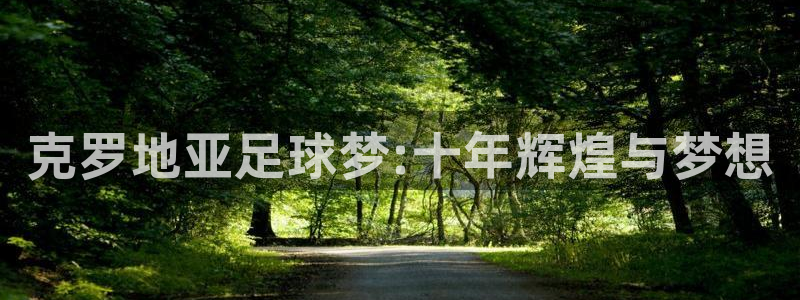 欧洲世预赛赛程表：克罗地亚足球梦:十年辉煌与梦想