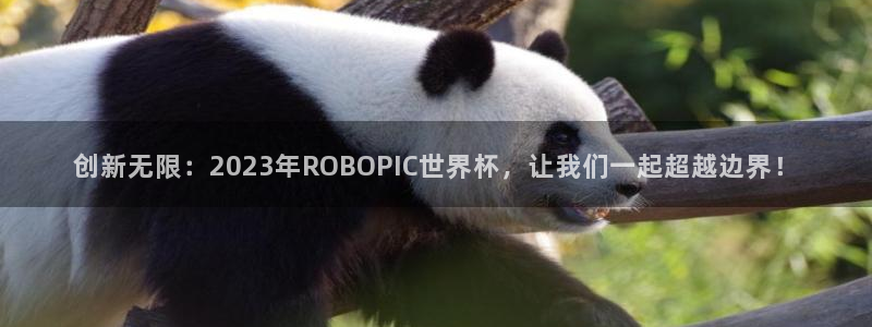 英格兰联赛杯直播：创新无限：2023年ROBOPIC世界杯，让我们一起超越边界！