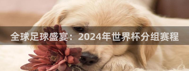 联赛杯直播：全球足球盛宴：2024年世界杯分组赛程