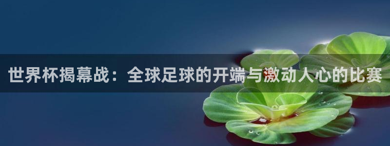世界杯2026赛程时间表格：世界杯揭幕战：全球足球的开端与激动人心的比赛