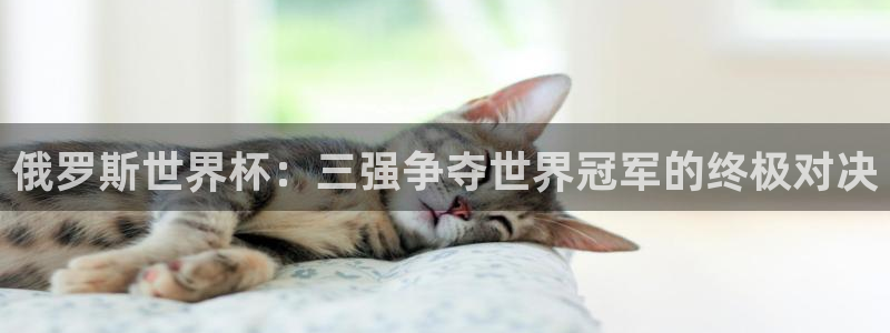 2026男足世界杯赛程:俄罗斯世界杯:三强争夺世界冠军的终极对决