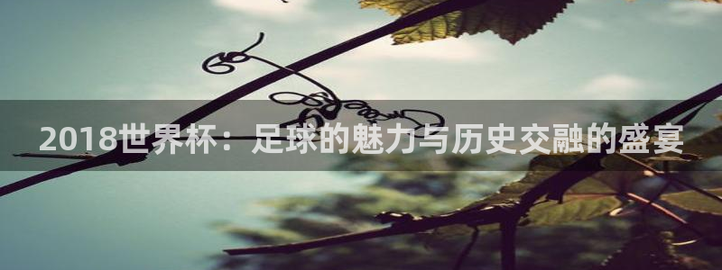 英足总杯直播：2018世界杯：足球的魅力与历史交融的盛宴