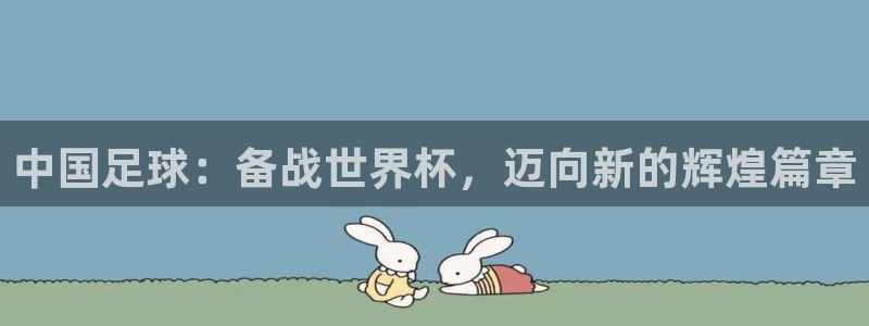 2026世界杯：中国足球：备战世界杯，迈向新的辉煌篇章