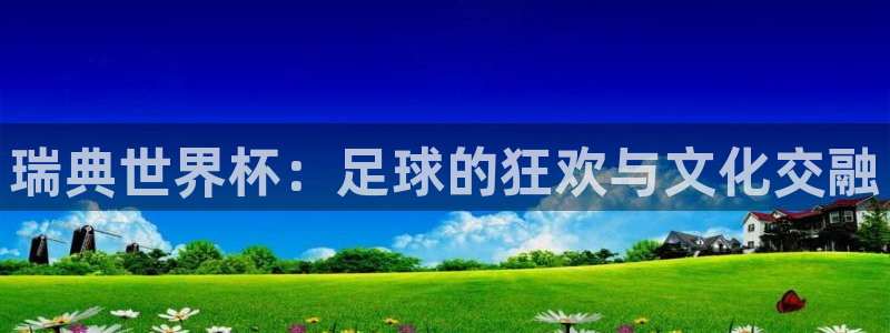 世界杯直播观看：瑞典世界杯：足球的狂欢与文化交融