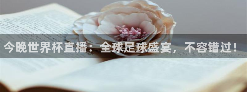 世界杯赛程表2026：今晚世界杯直播：全球足球盛宴，不容错过！