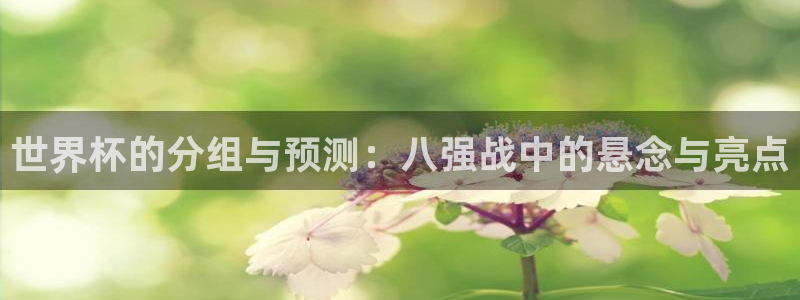 预选赛世界杯：世界杯的分组与预测：八强战中的悬念与亮点